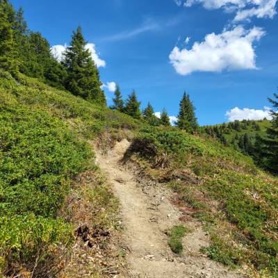 Le sentier menant au Col de Vorès retrouve sa jeunesse.