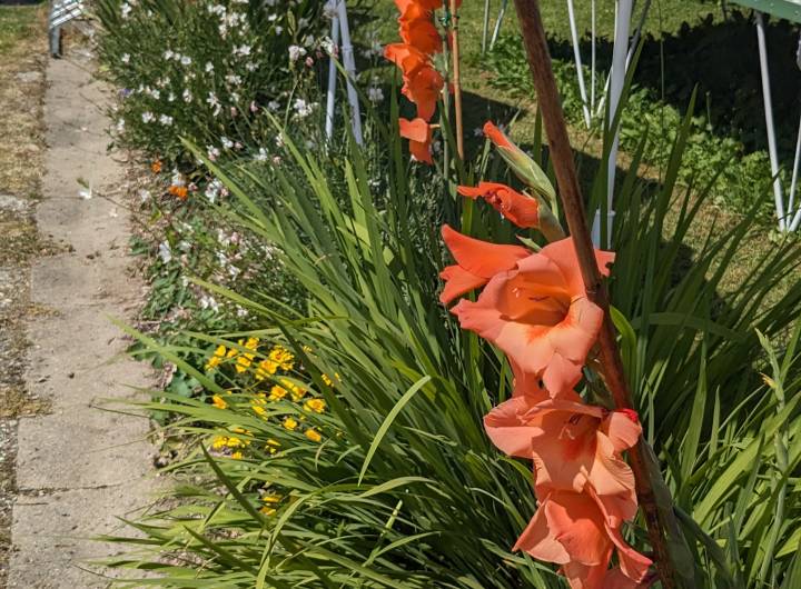 Concours des maisons fleuries 2024 : catégorie &quot;Hébergeurs professionnels&quot; - Marie-Anaïs Lien