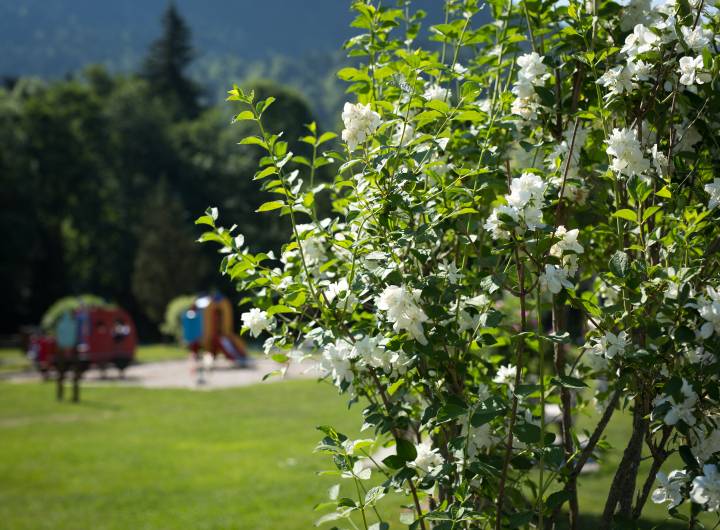 Fleurissement et entretien des espaces verts de Praz - Alexia Burille