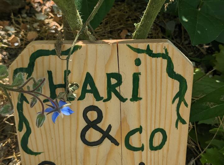 Concours des maisons fleuries 2024 : catégorie &quot;Jardins partagés&quot; - Marie-Anaïs Lien