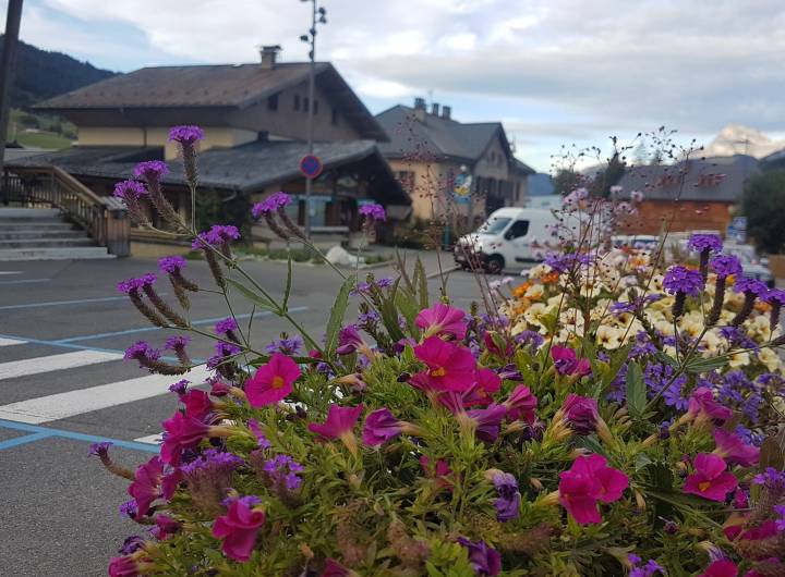 Fleurissement de Praz-sur-Arly, le long de la RD1212