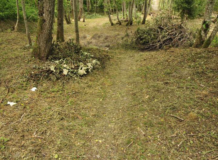 Aménagement du Ludik Park en juillet 2010 - Gaël Joncour