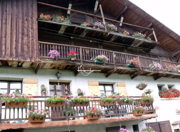 Concours des maisons fleuries 2010