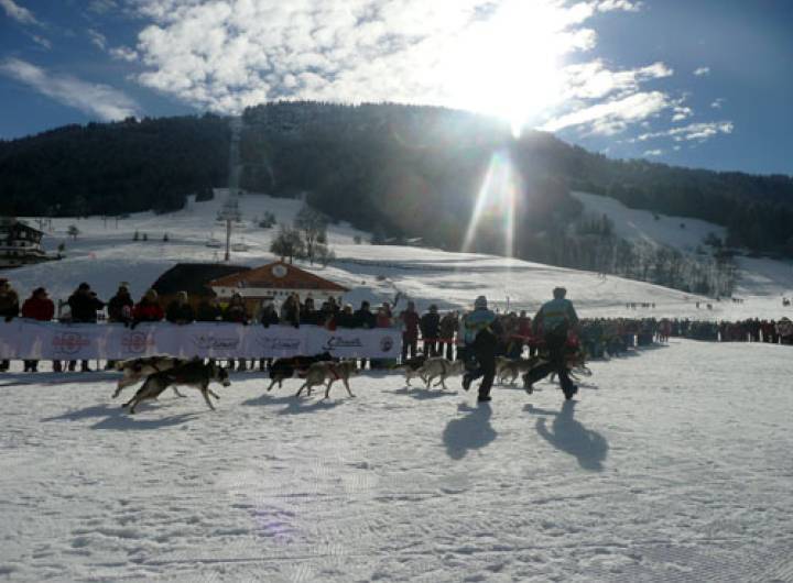 Grande Odyssée de janvier 2011 - David Morineau/Sylvie Bessy