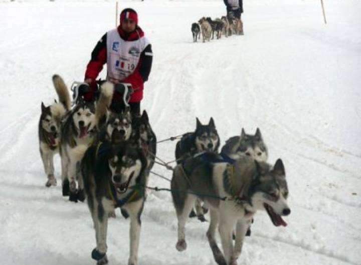 Grande Odyssée de janvier 2011 - David Morineau/Sylvie Bessy