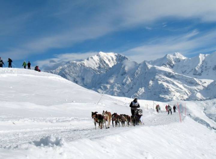 Grande Odyssée de janvier 2011 - David Morineau/Sylvie Bessy