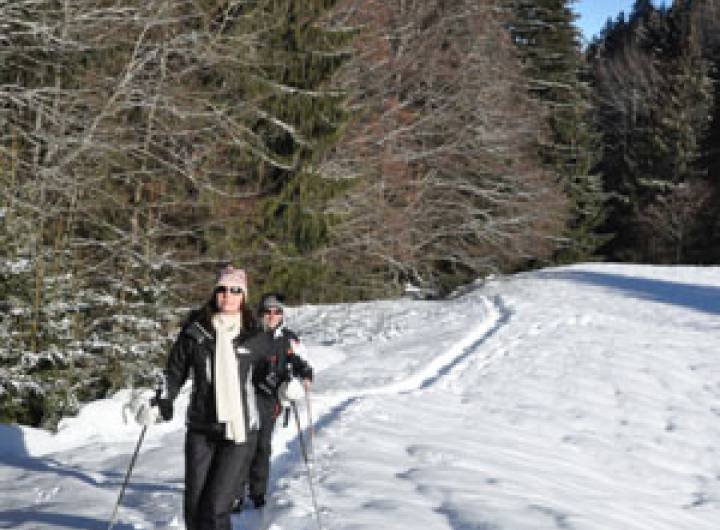 En lisière de forêt, au Rochat