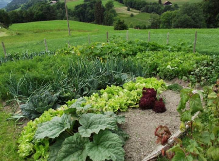 Concours des maisons fleuries 2011 - Anthony Chambet