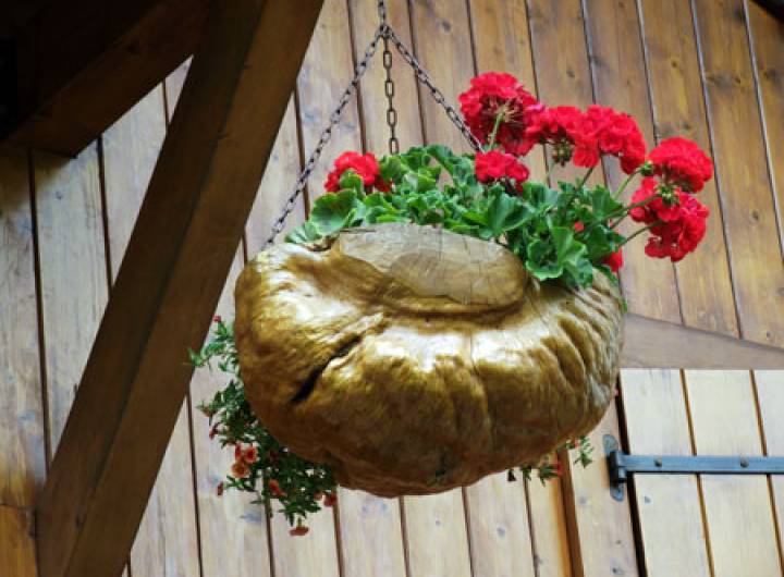 Concours des maisons fleuries 2011 - Anthony Chambet