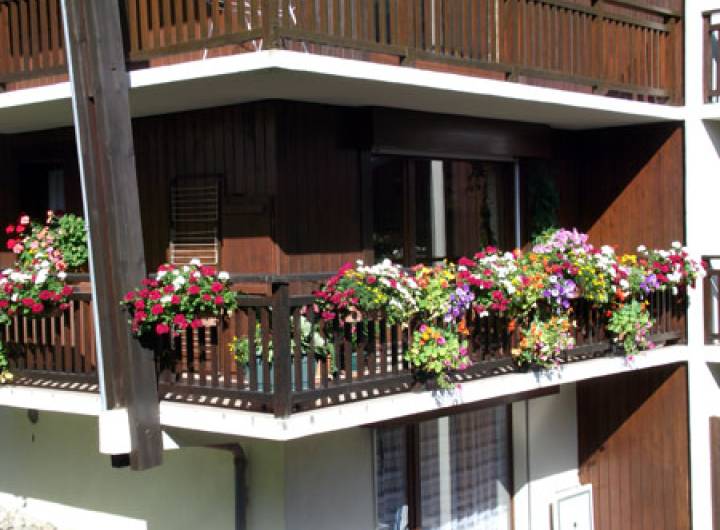 Concours des maisons fleuries 2011 - Anthony Chambet