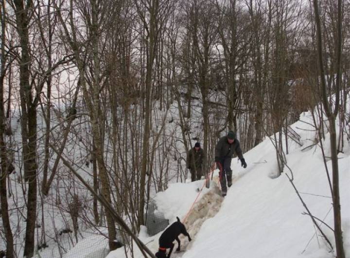 Repérage autour du Belambra effectué le 21 décembre 2012 pour s'assurer qu'il n'y a plus de sangliers