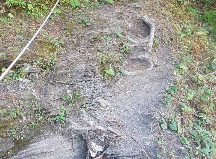 Sentier des Tendues : nouveau câble et sentier nettoyé