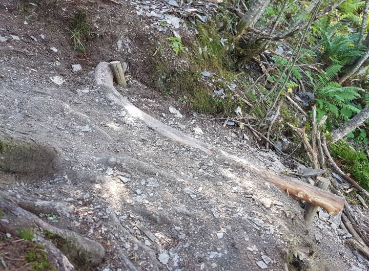 Sentier des Tendues : rondin de bois ajouté pour éviter tout effondrement de terrain
