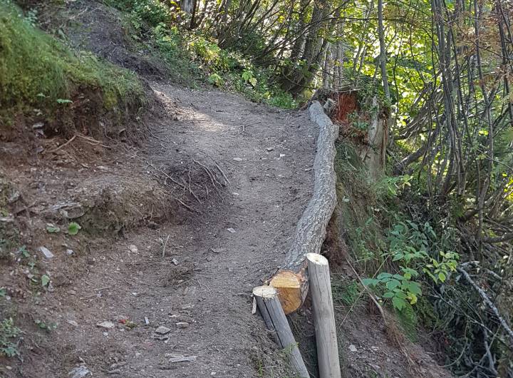 Sentier des Tendues : rondin de bois ajouté pour maintenir le sol