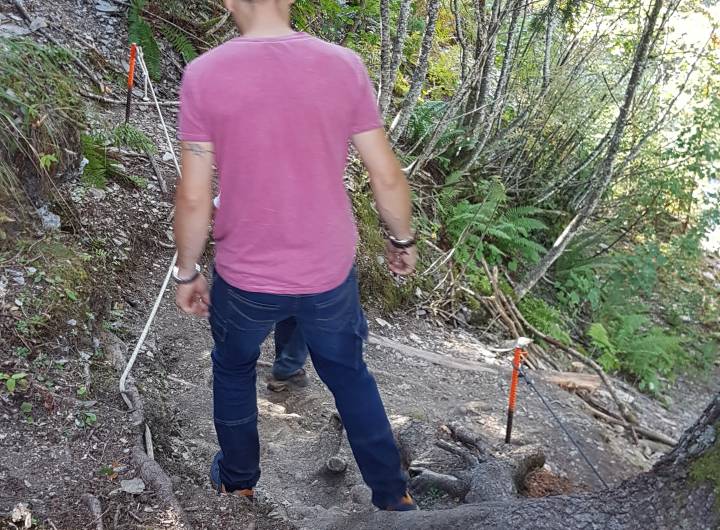 Sentier des Tendues : racines dégagées et câbles ajoutés pour sécuriser la descente du sentier escarpé