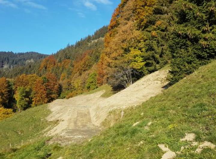 Zone d’abreuvement des Granges © Marie-Anaïs Lien
