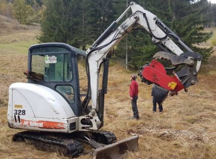 Broyeuse de souches © Marie-Anaïs Lien