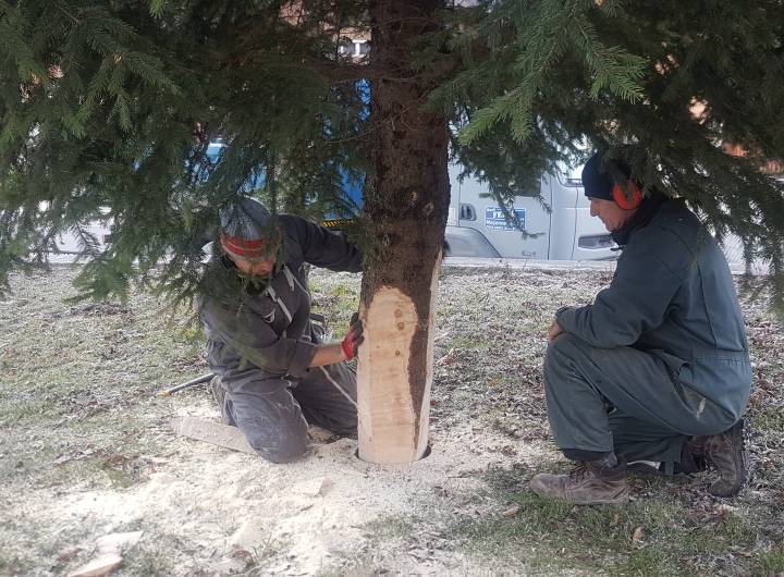 Encastrement du tronc dans le cylindre