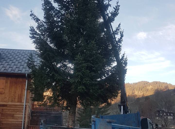 Levage du sapin