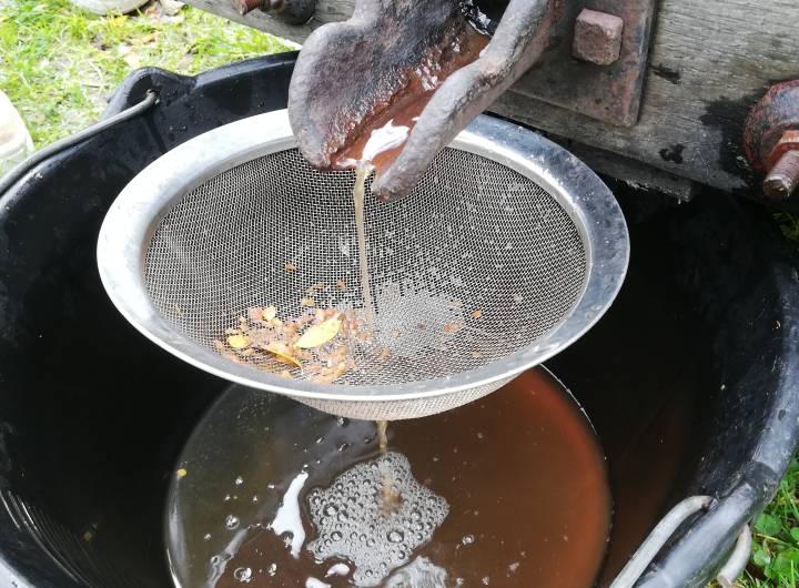 Fête du Verger : 1re filtration du jus de pomme - Gaëlle Émonet