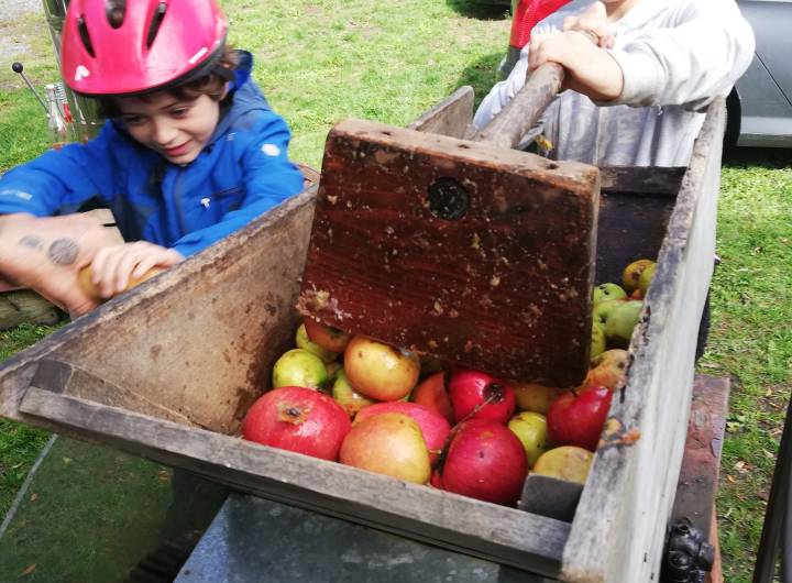 Fête du Verger : pommes de verger - Gaëlle Émonet