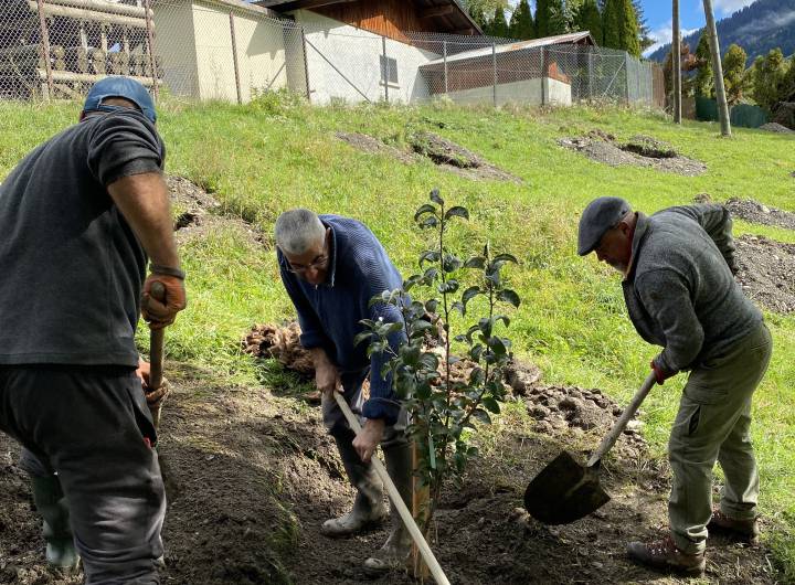 Fête du Verger : plantation d'une essence locale - Yann Jaccaz