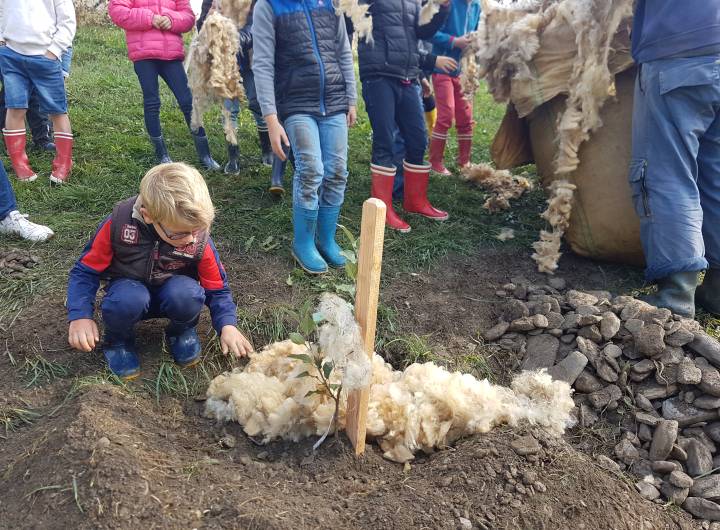Plantation d'arbres fruitiers en contrebas du verger communal, avec les élèves de l'école des Éterlous - Marie-Anaïs Lien