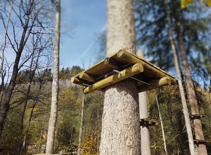 Aménagement en cours du parc d'accrobranche - Marie-Anaïs Lien