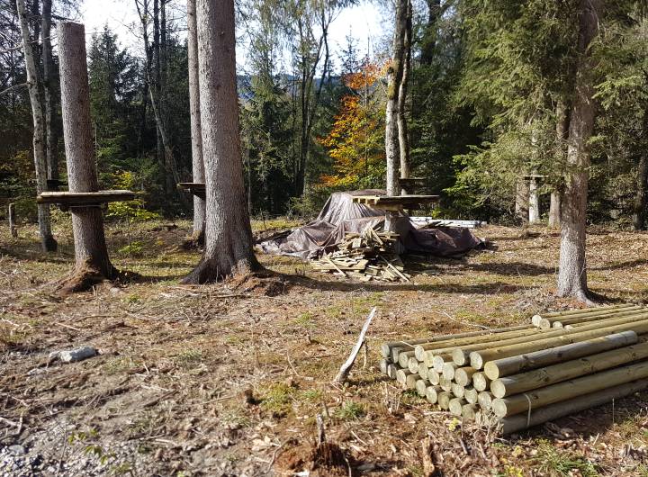 Aménagement en cours du parc d'accrobranche - Marie-Anaïs Lien