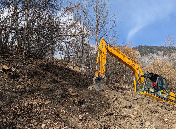L’entreprise retravaillera le profil jusqu’au repère que constitue la souche (à gauche sur la photo). © Marie-Anaïs Lien