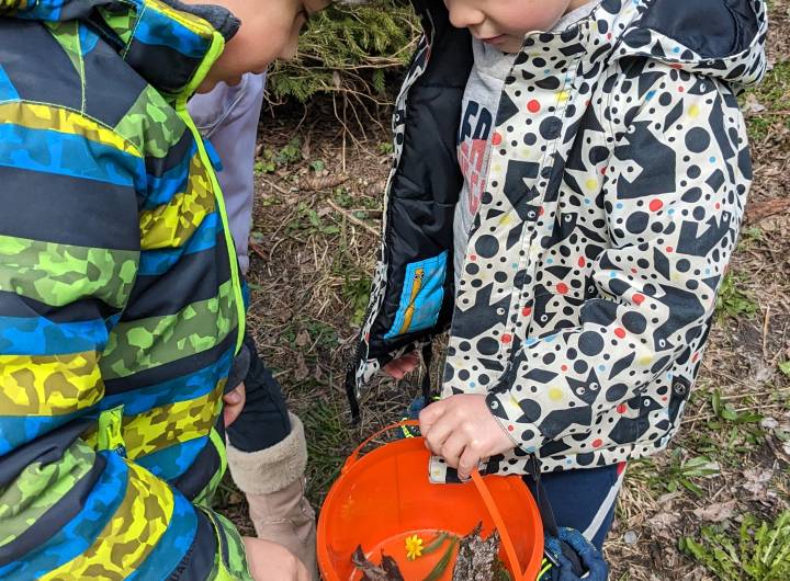 École Saint-Joseph : animation de le CCPMB sur l'interface Homme/nature