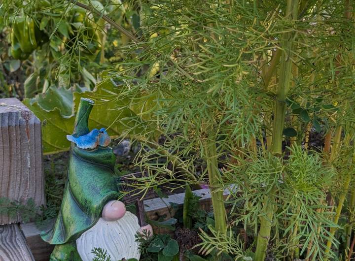 Concours des maisons fleuries 2023 : remise des prix et inauguration des jardins partagés le 26 septembre 2023