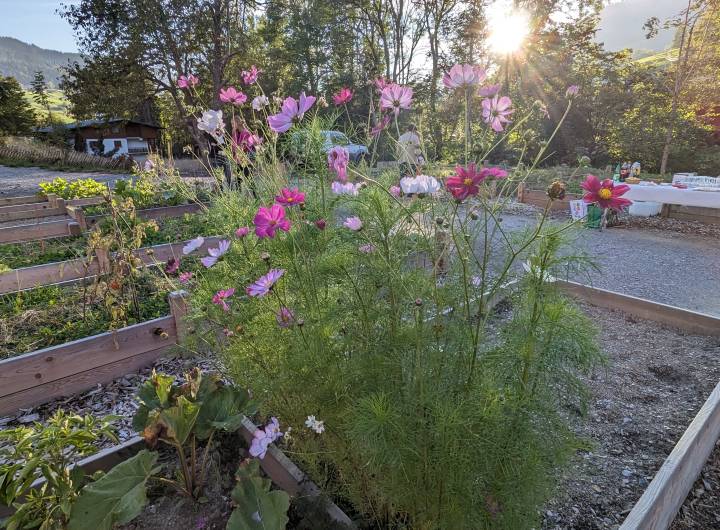 Concours des maisons fleuries 2023 : remise des prix et inauguration des jardins partagés le 26 septembre 2023