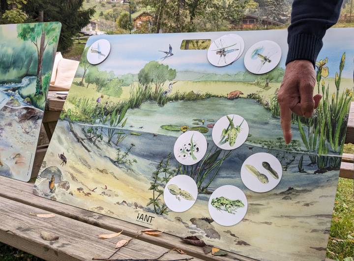 Sortie des élèves des Éterlous au bord de l'Arly, le 19/10/2023 : biodiversité, pollution... - Marie-Anaïs Lien