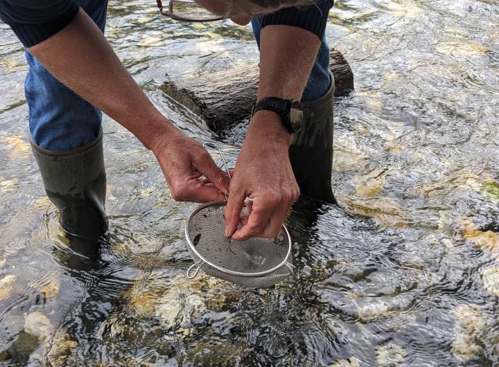 Sortie des élèves des Éterlous au bord de l'Arly, le 19/10/2023 : biodiversité, pollution... - Marie-Anaïs Lien