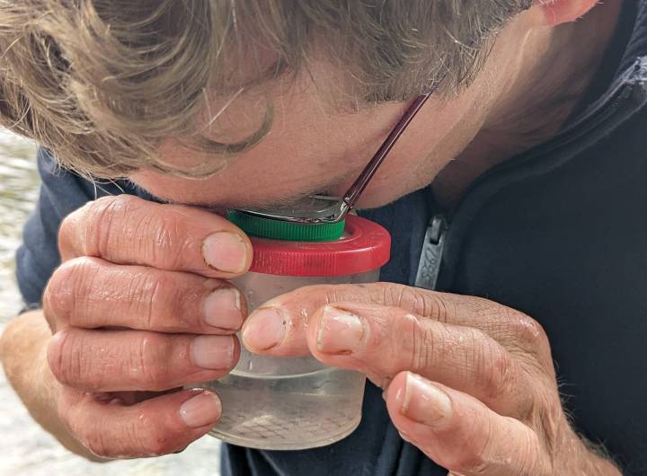 Sortie des élèves des Éterlous au bord de l'Arly, le 19/10/2023 : biodiversité, pollution... - Marie-Anaïs Lien