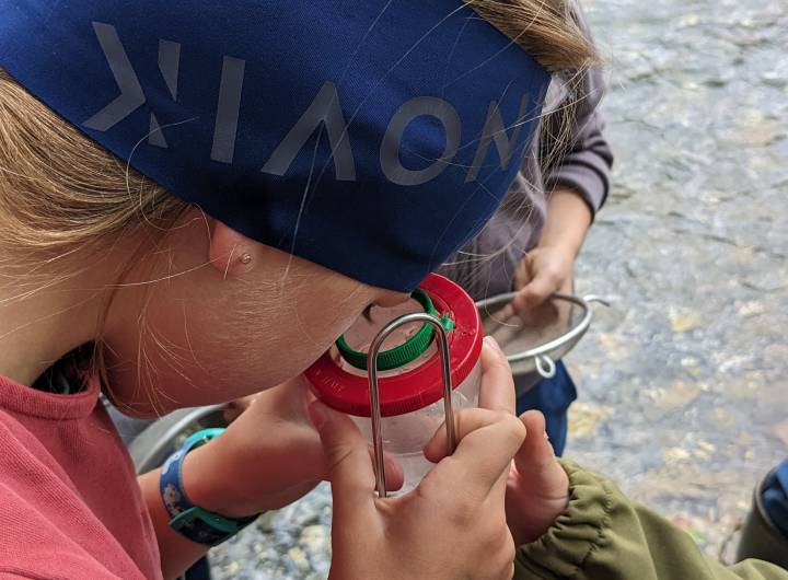Sortie des élèves des Éterlous au bord de l'Arly, le 19/10/2023 : biodiversité, pollution... - Marie-Anaïs Lien