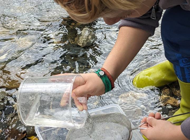 Sortie des élèves des Éterlous au bord de l'Arly, le 19/10/2023 : biodiversité, pollution... - Marie-Anaïs Lien