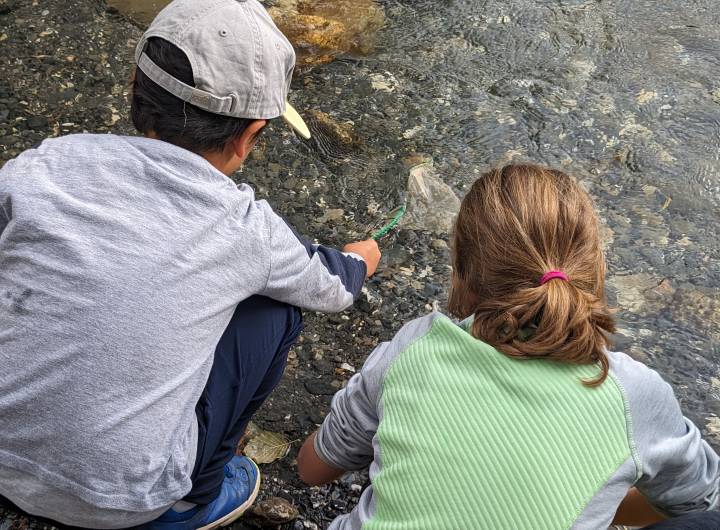 Sortie des élèves des Éterlous au bord de l'Arly, le 19/10/2023 : biodiversité, pollution... - Marie-Anaïs Lien