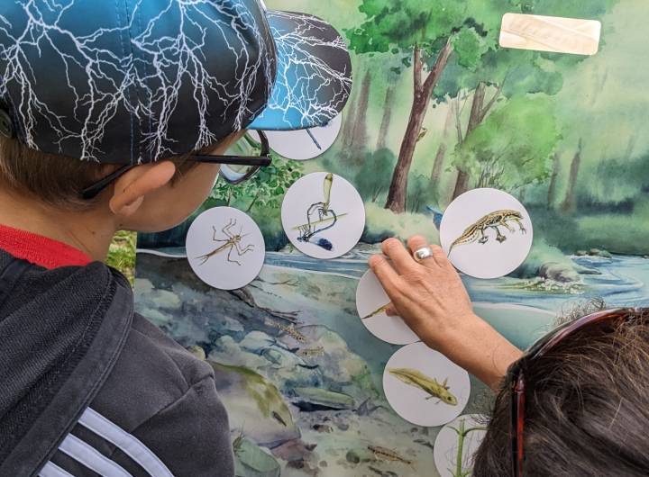 Sortie des élèves des Éterlous au bord de l'Arly, le 19/10/2023 : biodiversité, pollution... - Marie-Anaïs Lien