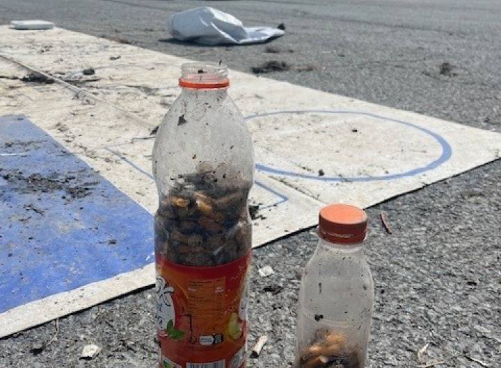 Opération &quot;Nettoyage de printemps&quot; du 4 mai 2024 - Julie Maraux