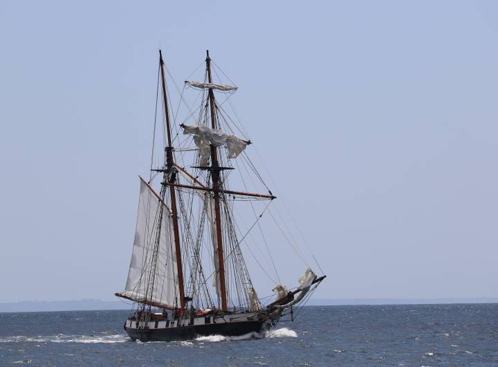Voyage à Roscoff organisé par le Comité de jumelage Roscoff/PsA du 3005 au 03062024 - Christian Bouchage