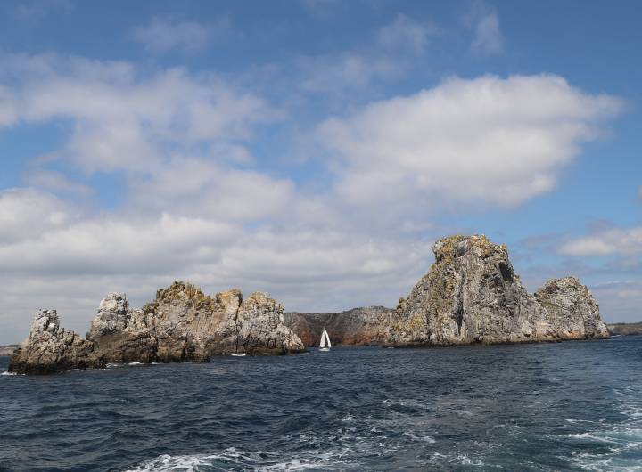 Voyage à Roscoff organisé par le Comité de jumelage Roscoff/PsA du 3005 au 03062024 - Christian Bouchage
