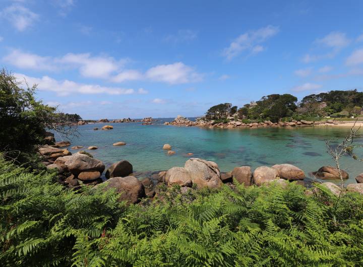 Voyage à Roscoff organisé par le Comité de jumelage Roscoff/PsA du 3005 au 03062024 - Christian Bouchage