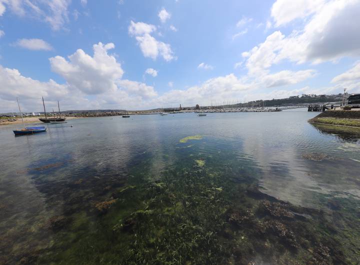 Voyage à Roscoff organisé par le Comité de jumelage Roscoff/PsA du 3005 au 03062024 - Christian Bouchage
