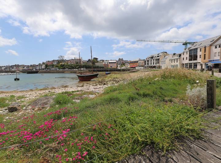 Voyage à Roscoff organisé par le Comité de jumelage Roscoff/PsA du 3005 au 03062024 - Christian Bouchage