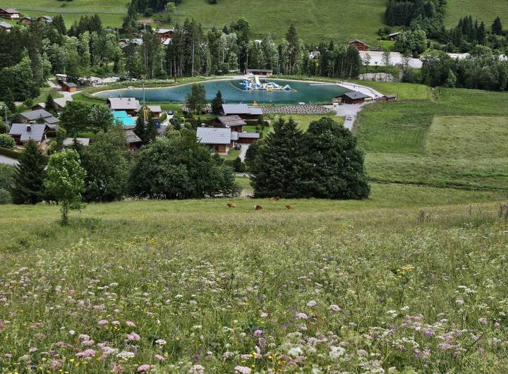 Plan d'eau/lac : aspect paysager (végétal) - Jean-Paul Jaccaz