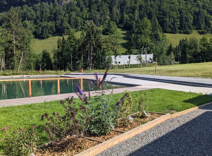 Plan d'eau/lac : aspect paysager (végétal) - Marie-Anaïs Lien