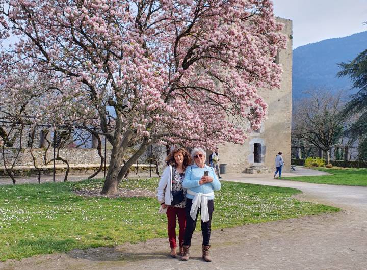 Le Jardin de la Tour Sarrasine : une belle touche naturelle dans la cité de Conflans – Inconnu