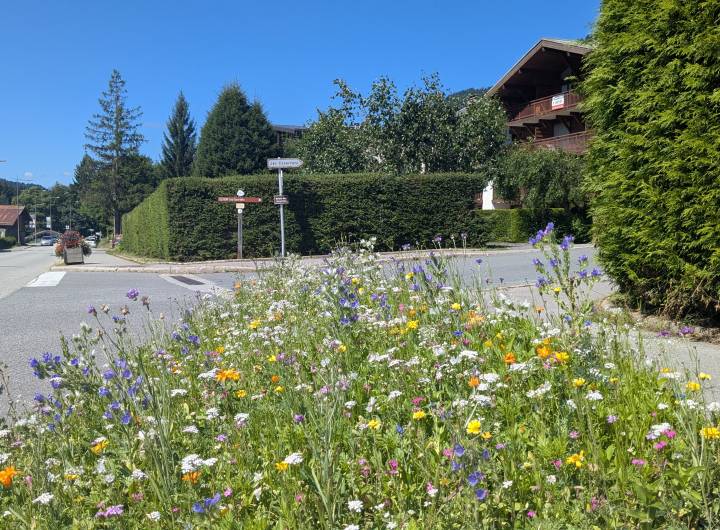 Fleurissement et entretien des espaces verts de Praz - Marie-Anaïs Lien